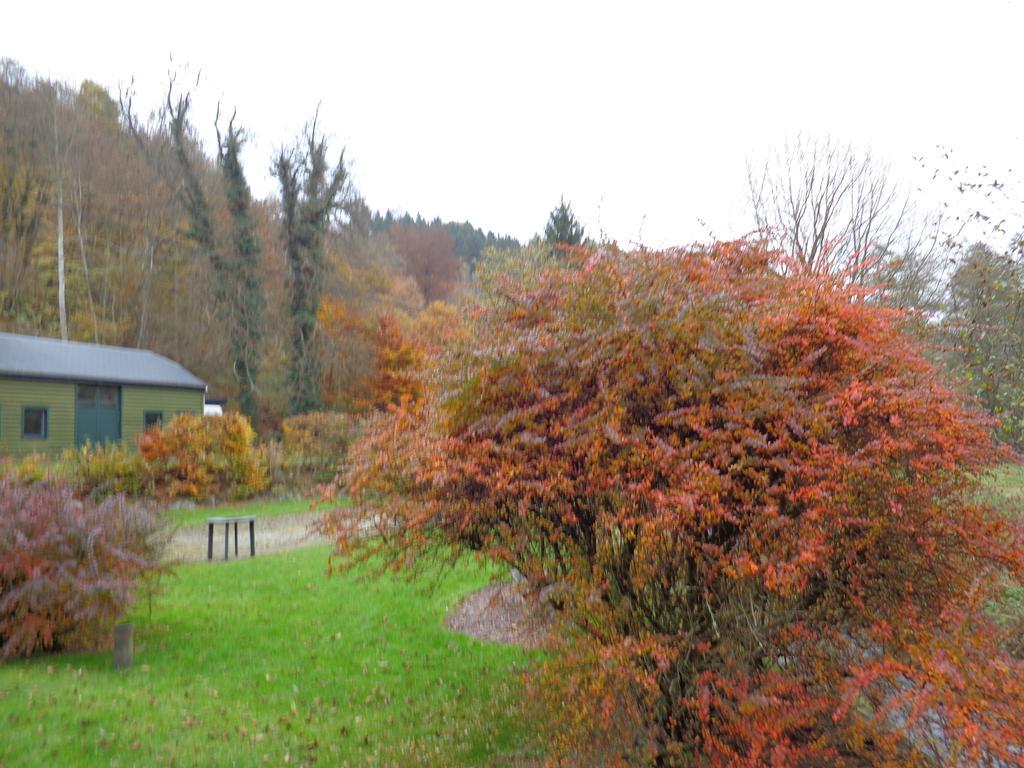 Hotel Gai-Sejour La-Roche-en-Ardenne Exteriör bild