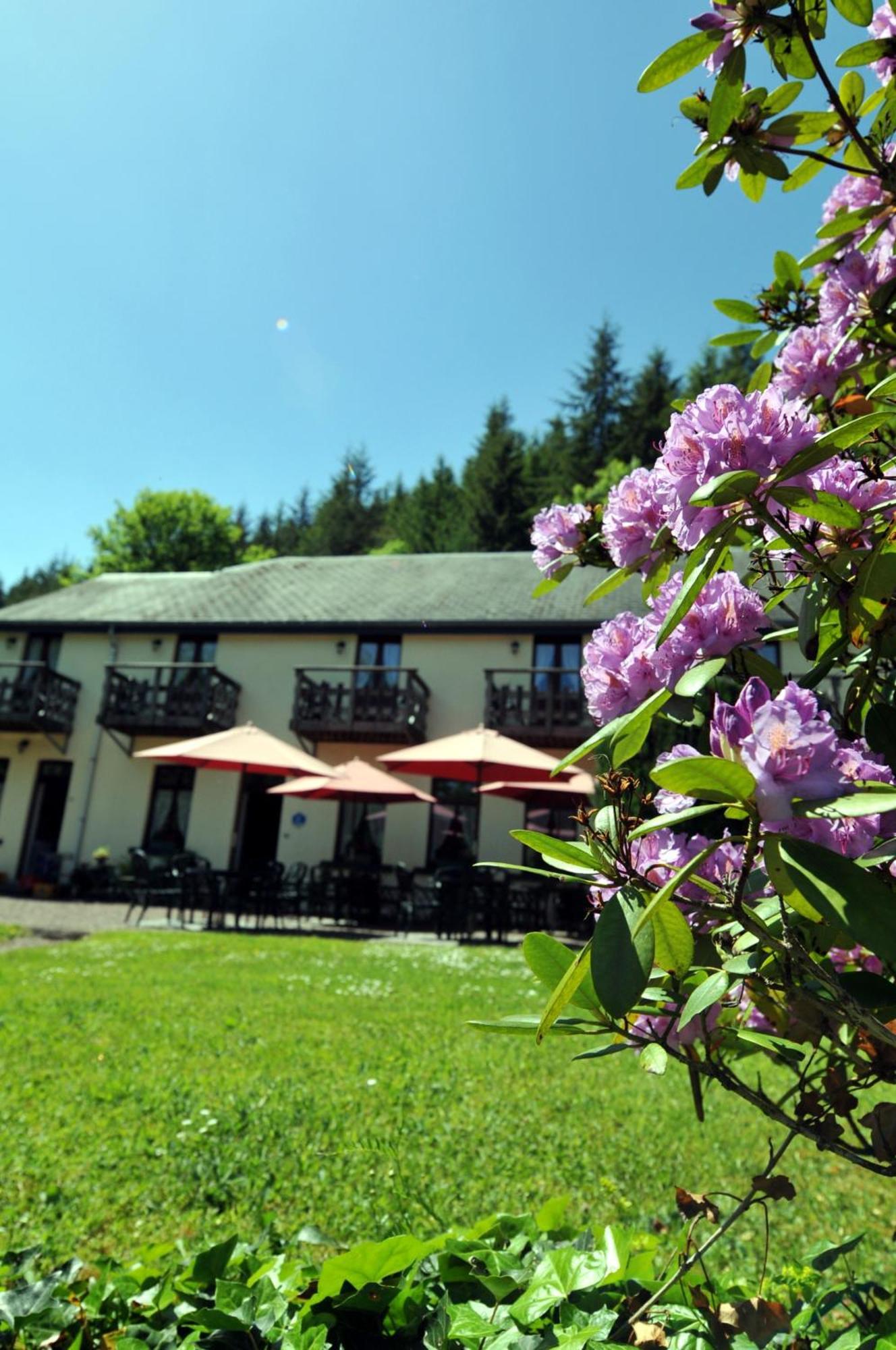 Hotel Gai-Sejour La-Roche-en-Ardenne Exteriör bild